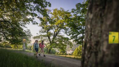 „Qualitätsweg Wanderbares Deutschland“